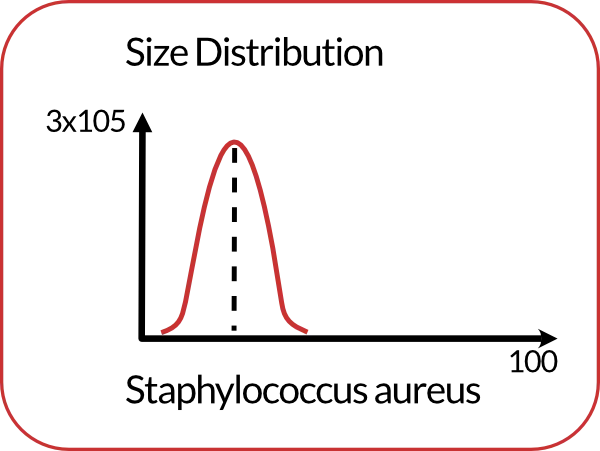 Size Distribution Staphylococcus Aerus