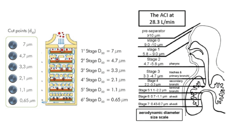 Multistage cut off cutoff stages andersen aerosol studies petri bioaerosol